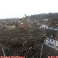 10_35-nest.jpg
