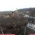 10_40-nest.jpg