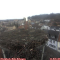 11_05-nest.jpg