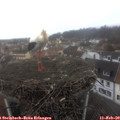 11_15-nest.jpg