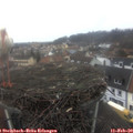 11_25-nest.jpg