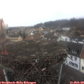 11_30-nest.jpg