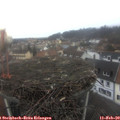 11_35-nest.jpg