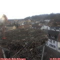 11_40-nest.jpg