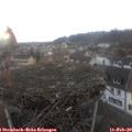 11_45-nest.jpg