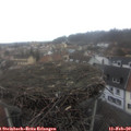11_55-nest.jpg