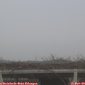 12_00-mast.jpg