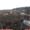 12_05-nest.jpg