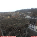 12_15-nest.jpg