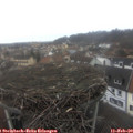 12_20-nest.jpg