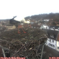 12_30-nest.jpg