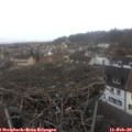 12_40-nest.jpg