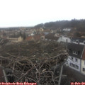 12_55-nest.jpg