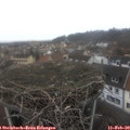 13_10-nest.jpg