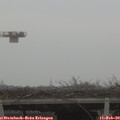 13_20-mast.jpg