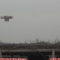 13_25-mast.jpg
