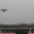 13_35-mast.jpg