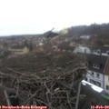 13_45-nest.jpg