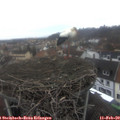 13_50-nest.jpg