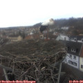 13_55-nest.jpg