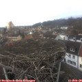 14_05-nest.jpg