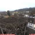 14_10-nest.jpg