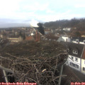 14_15-nest.jpg