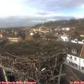 14_25-nest.jpg