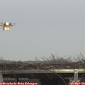 14_30-mast.jpg