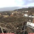 14_30-nest.jpg