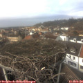 14_35-nest.jpg