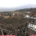 14_50-nest.jpg