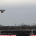14_55-mast.jpg