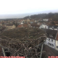 14_55-nest.jpg