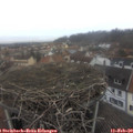 15_10-nest.jpg