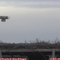 15_15-mast.jpg