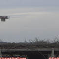 15_20-mast.jpg