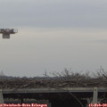 15_25-mast.jpg