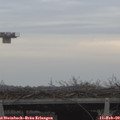 15_40-mast.jpg