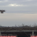 15_45-mast.jpg