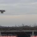 15_50-mast.jpg