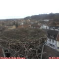 15_50-nest.jpg