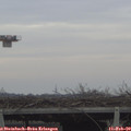 15_55-mast.jpg