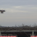 16_00-mast.jpg