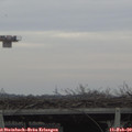 16_05-mast.jpg
