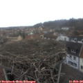 16_05-nest.jpg