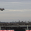 16_10-mast.jpg