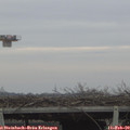 16_15-mast.jpg