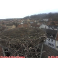 16_15-nest.jpg