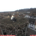 16_25-nest.jpg